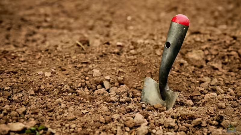 Blog: Bodenverdichtung im Garten - Ursachen, Folgen und nachhaltige Lösungen für gesunde Böden (7419)
