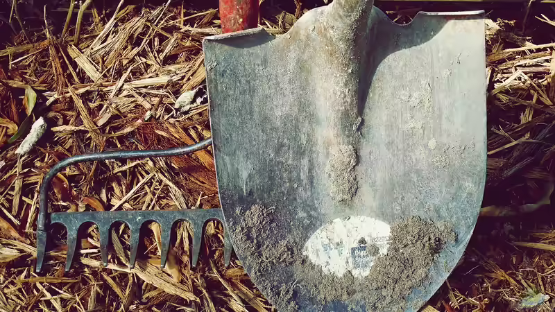 Blog: Bodenverdichtung im Garten - Ursachen, Folgen und nachhaltige Lösungen für gesunde Böden (7419)