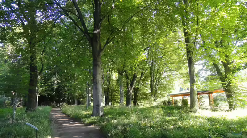 Blog: Botanischer Garten Frankfurt am Main: Ein grünes Paradies mitten in der Großstadt (7104)