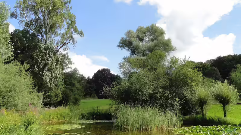 Blog: Botanischer Garten Frankfurt am Main: Ein grünes Paradies mitten in der Großstadt (7104)
