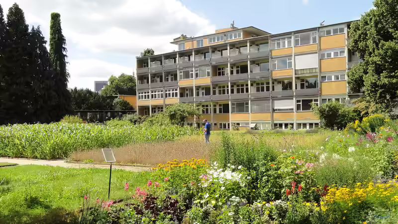 Blog: Botanischer Garten Frankfurt am Main: Ein grünes Paradies mitten in der Großstadt (7104)
