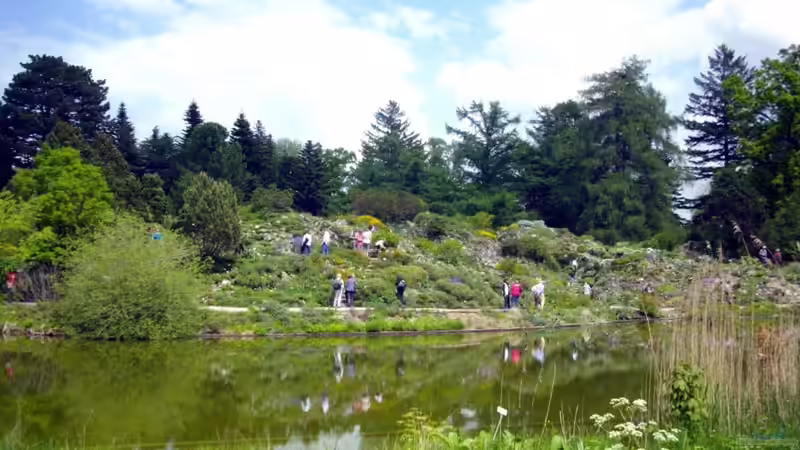 Blog: Botanischer Garten München -Aus Sicht einer Aquarianerin! Teil I (3289)