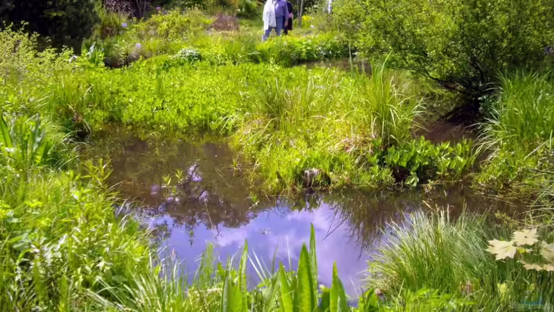 Blog: Botanischer Garten München -Aus Sicht einer Aquarianerin! Teil I (3289)