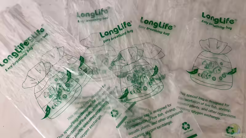 Blog: Breathing Bags ??? Atmende Transportbeutel für Fische (5426)