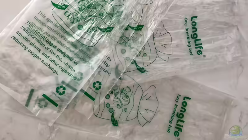 Blog: Breathing Bags ??? Atmende Transportbeutel für Fische (5426)