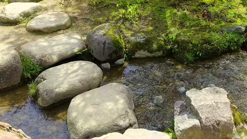 Blog: Brücke, Steg oder Trittsteine: Ein Weg über den Gartenteich (6199)