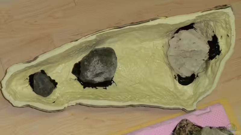 Blog: BTN Rückwand- Beckengestaltung ???Erfahrungsberichte - Tipps & Tricks??? (4763)