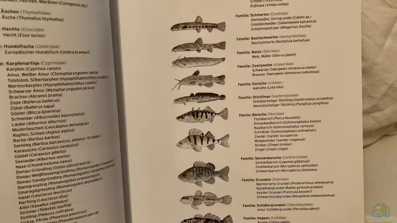 Blog: Buch-Vorstellung ???Fische, Krebse & Muscheln in heimischen Seen und Flüssen??? (5463)