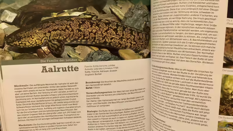 Blog: Buch-Vorstellung ???Fische, Krebse & Muscheln in heimischen Seen und Flüssen??? (5463)