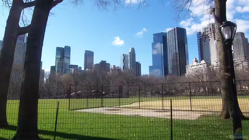 Blog: Central Park New York - Ein Paradies für Garten- und Naturliebhaber (7097)
