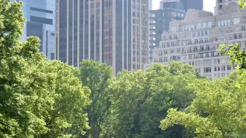Blog: Central Park New York - Ein Paradies für Garten- und Naturliebhaber (7097)