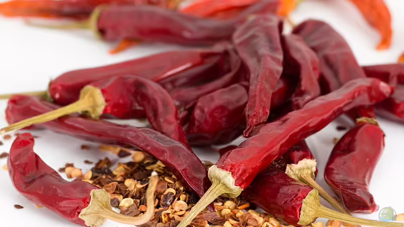 Blog: Chilis im eigenen Garten selbst anbauen (6633)