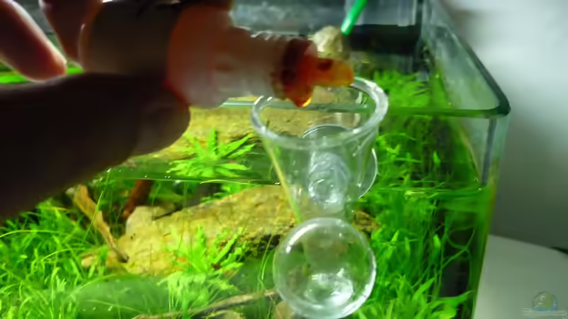 Blog: CO2 - Indicator - volle Kontrolle (3617)