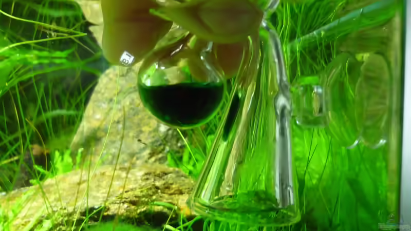 Blog: CO2 - Indicator - volle Kontrolle (3617)