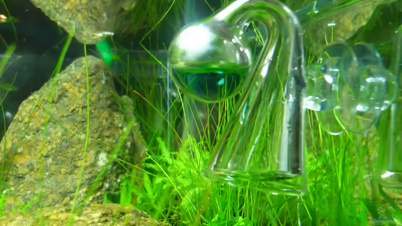 Blog: CO2 - Indicator - volle Kontrolle (3617)