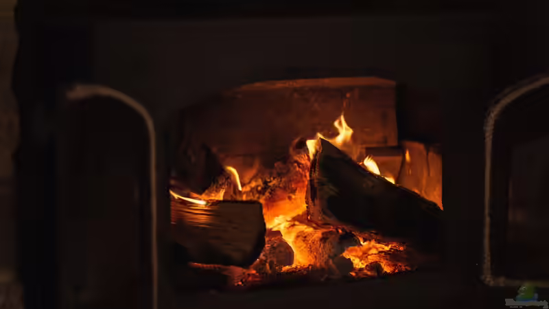 Blog: Cocooning - Der große Guide für ein gemütliches Zuhause und Gartenleben (7493)