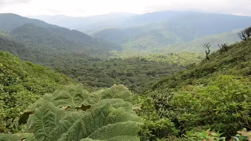 Blog: Costa Rica - Ein Paradies für Aquaristik- und Terraristikliebhaber (7633)