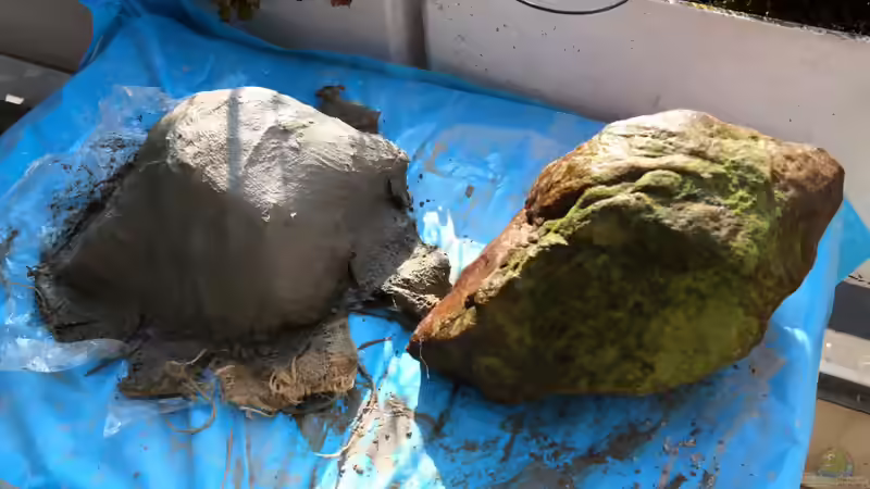 Blog: Cruiser Brunos Malawi-Projekt -3- Bau der Rückwände und Riffplatten (4766)