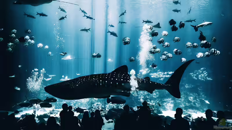 Blog: Das größte Aquarium der Welt: Georgia Aquarium (5590)