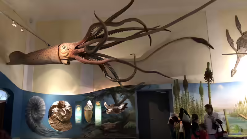 Blog: Das Haus der Natur in Salzburg Teil 1 - Reptilien und Video (5355)