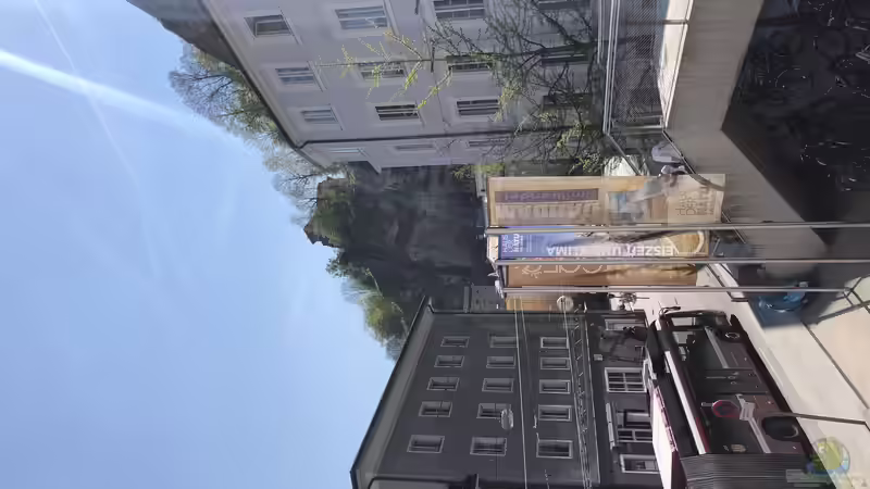 Blog: Das Haus der Natur in Salzburg Teil 1 - Reptilien und Video (5355)