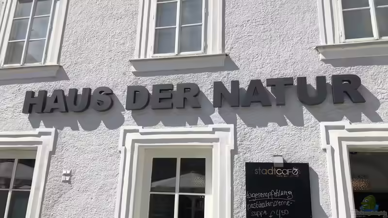 Blog: Das Haus der Natur in Salzburg Teil 1 - Reptilien und Video (5355)