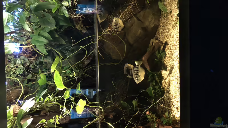 Blog: Das Haus der Natur in Salzburg Teil 2 - Aquarien und Informationen (5356)