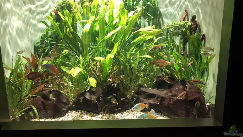 Blog: Das Haus der Natur in Salzburg Teil 2 - Aquarien und Informationen (5356)