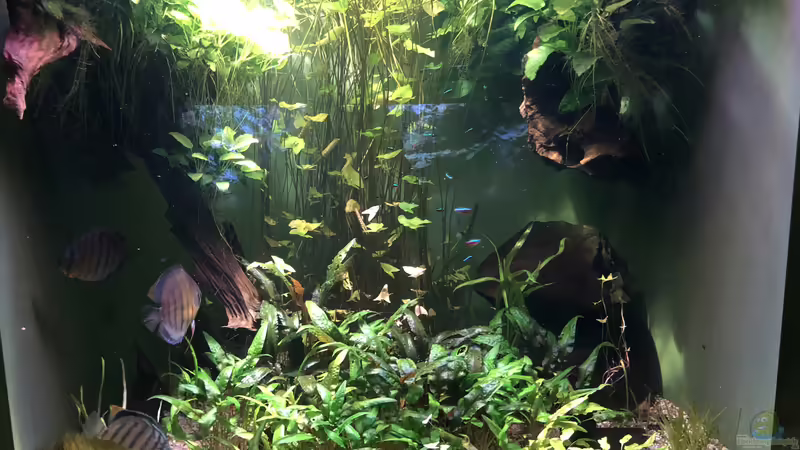 Blog: Das Haus der Natur in Salzburg Teil 2 - Aquarien und Informationen (5356)