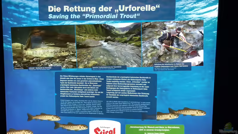 Blog: Das Haus der Natur in Salzburg Teil 2 - Aquarien und Informationen (5356)