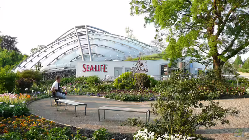 Blog: Das Konzept der Sealife-Aquarien: Ein Einblick (6389)
