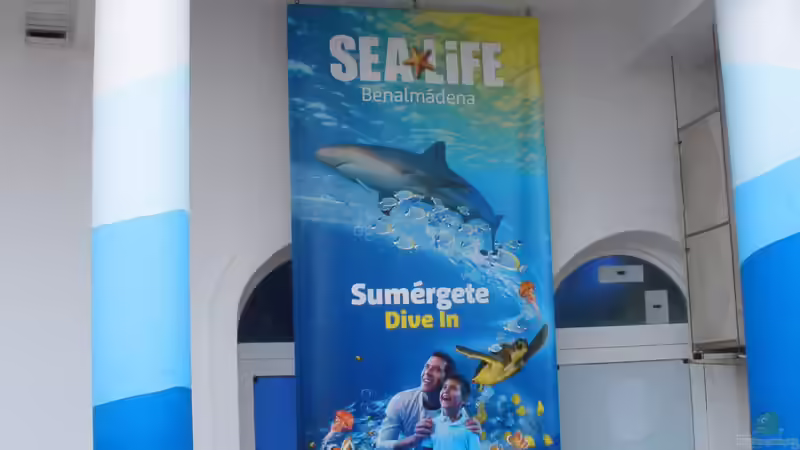 Blog: Das Konzept der Sealife-Aquarien: Ein Einblick (6389)