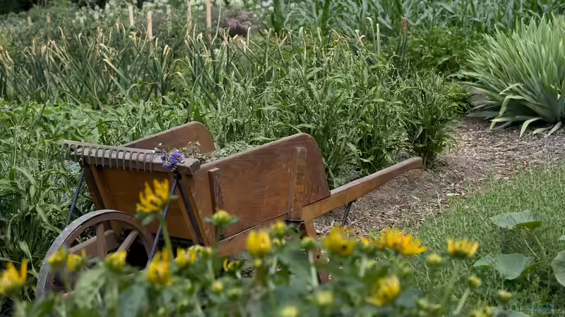 Blog: Das sind die 10 gesündesten Gemüsesorten für deinen Garten (7066)