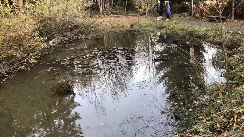 Blog: Das Verantwortungsbewusstsein der Aquarianer, Terrarianer und Teich-Besitzer unserer Natur gegenüber (5445)