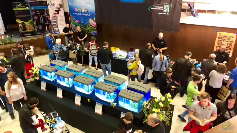 Blog: Das war der Aqua-Day 2019 (5348)