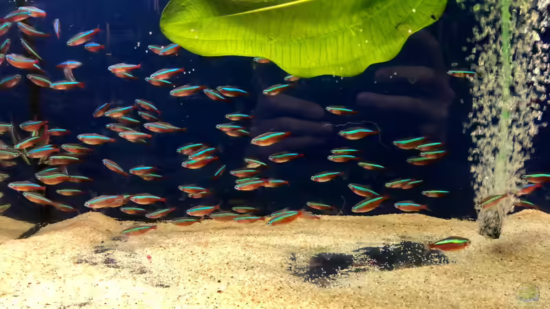 Blog: Das war der Aqua-Day 2019 (5348)