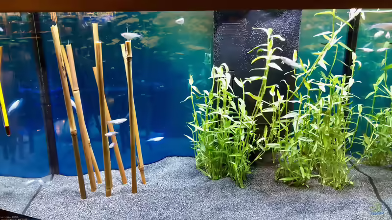 Blog: Das war der Aqua-Day 2019 (5348)