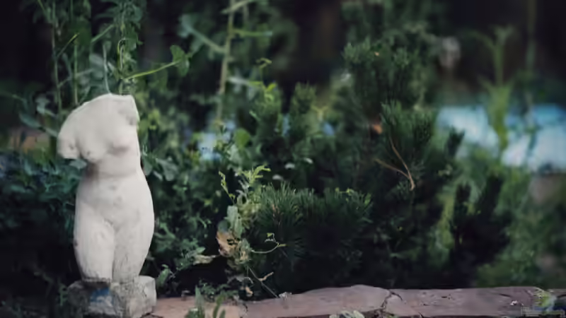 Blog: Deko aus Beton im Garten: Kreative Ideen, langlebige Gestaltung und zeitlose Ästhetik (7911)