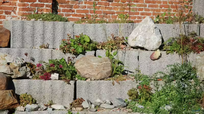 Blog: Deko aus Beton im Garten: Kreative Ideen, langlebige Gestaltung und zeitlose Ästhetik (7911)