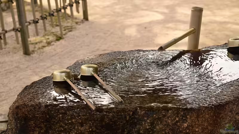 Blog: Dekoelemente für einen japanischen Garten - Ruhe, Symbolik und zeitlose Ästhetik im eigenen Grün (7731)