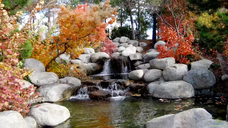 Blog: Dekoelemente für einen japanischen Garten - Ruhe, Symbolik und zeitlose Ästhetik im eigenen Grün (7731)