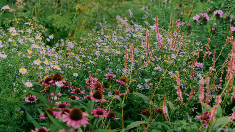 Blog: Den Garten hitzeresilient gestalten: So können Gartenbesitzer handeln (7905)