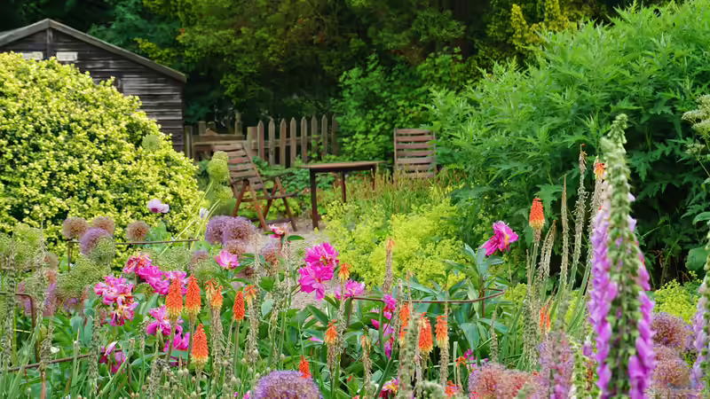 Blog: Den Garten hitzeresilient gestalten: So können Gartenbesitzer handeln (7905)