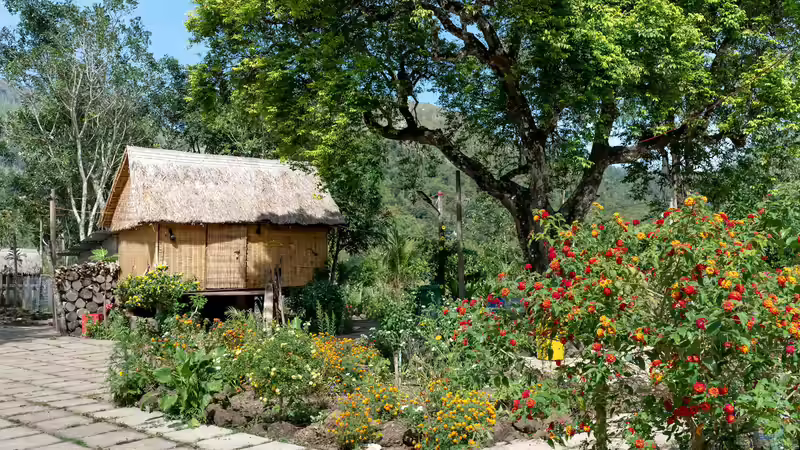 Blog: Den Garten hitzeresilient gestalten: So können Gartenbesitzer handeln (7905)