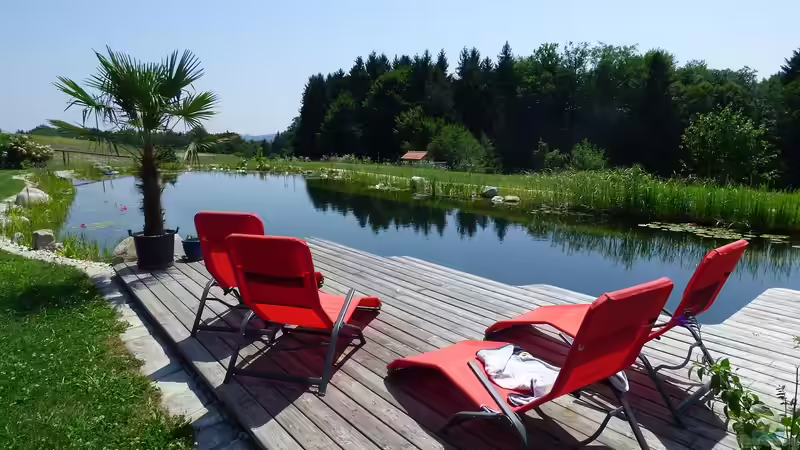 Blog: Der Blick auf den Teich: Frühjahrs-Check der Lieblingsplätze (6785)