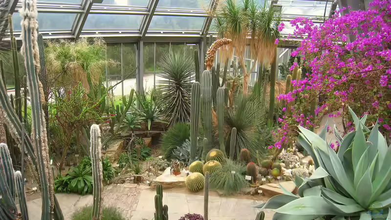 Blog: Der Botanische Garten Berlin: Ein Paradies in der Hauptstadt (7102)