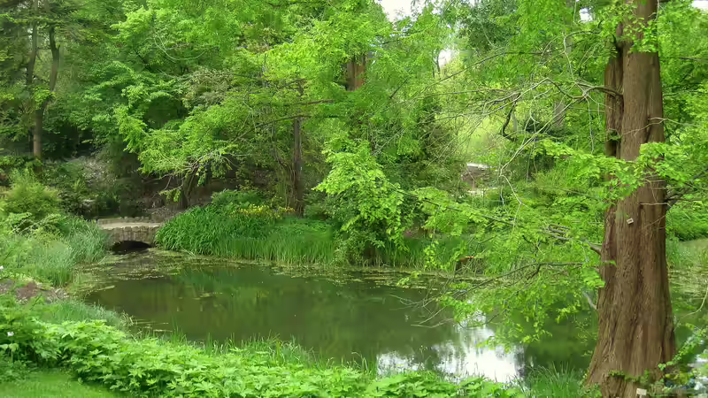 Blog: Der Botanische Garten Berlin: Ein Paradies in der Hauptstadt (7102)