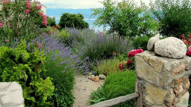 Blog: Der Drei-Zonen-Garten: Leitfaden für Planung, Gestaltung und Umsetzung (7221)