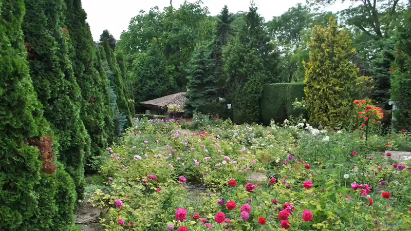 Blog: Der Duftgarten - Ein sinnliches Gartenkonzept für alle Jahreszeiten (7912)