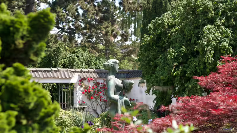 Blog: Der Duftgarten - Ein sinnliches Gartenkonzept für alle Jahreszeiten (7912)